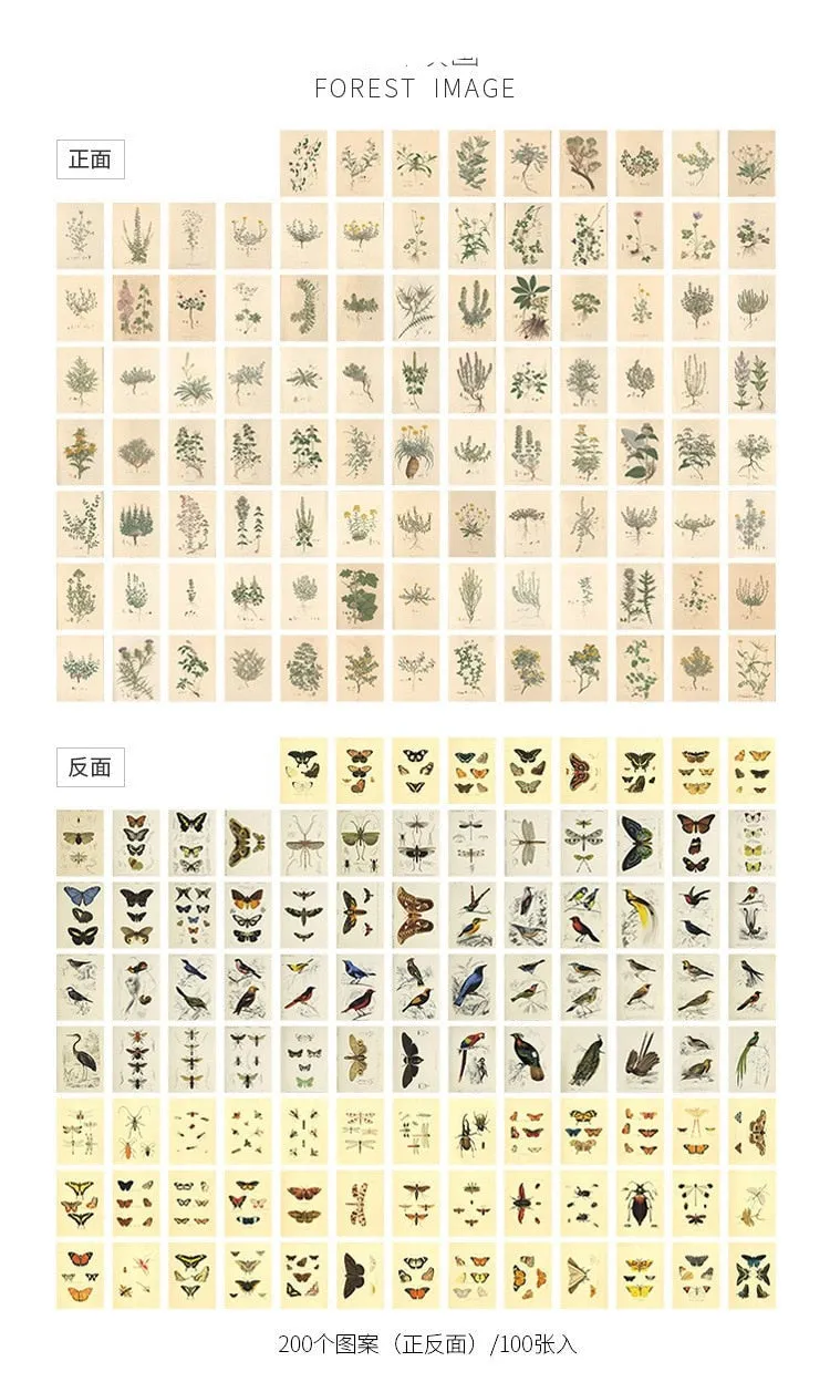100pcs Vintage Plant Butterfly Kraft Paper Double-sided Note Cards