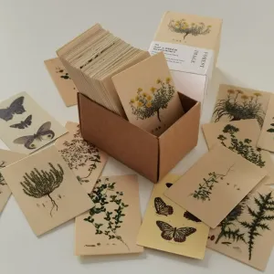 100pcs Vintage Plant Butterfly Kraft Paper Double-sided Note Cards