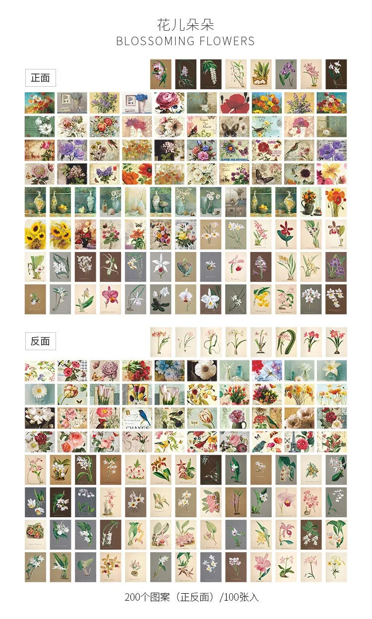 100pcs Vintage Plant Butterfly Kraft Paper Double-sided Note Cards