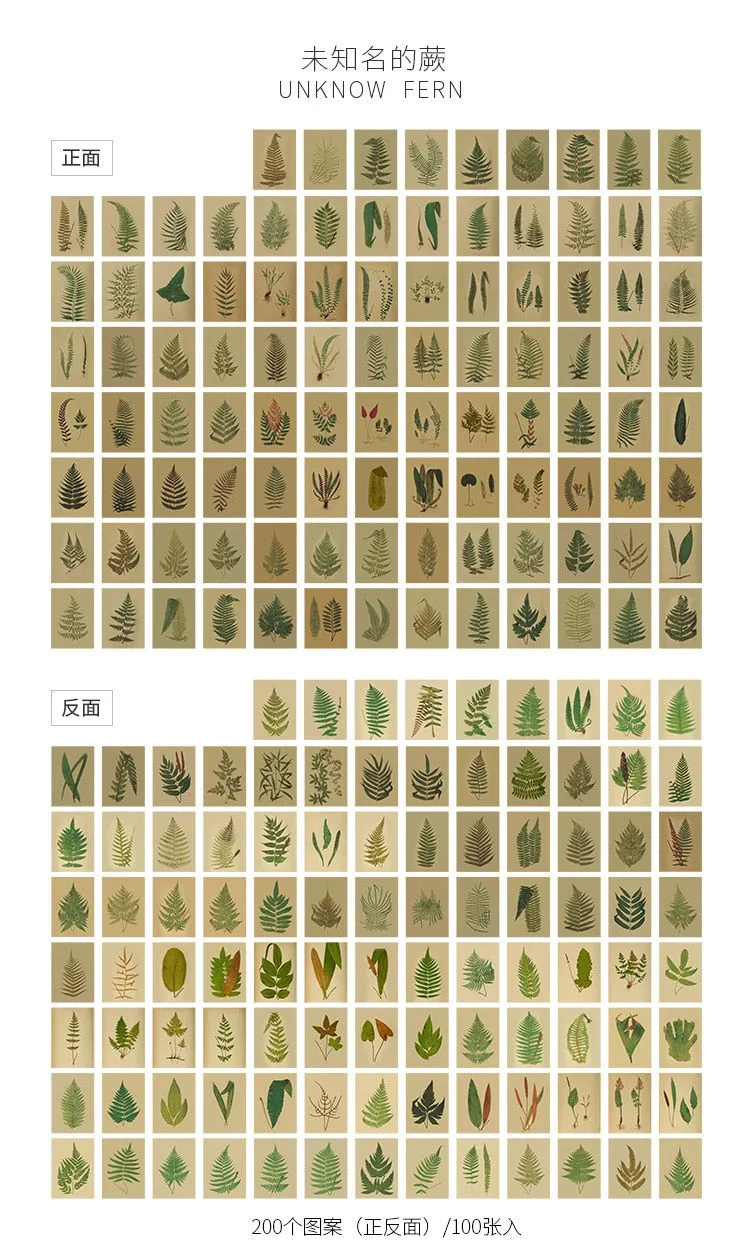 100pcs Vintage Plant Butterfly Kraft Paper Double-sided Note Cards
