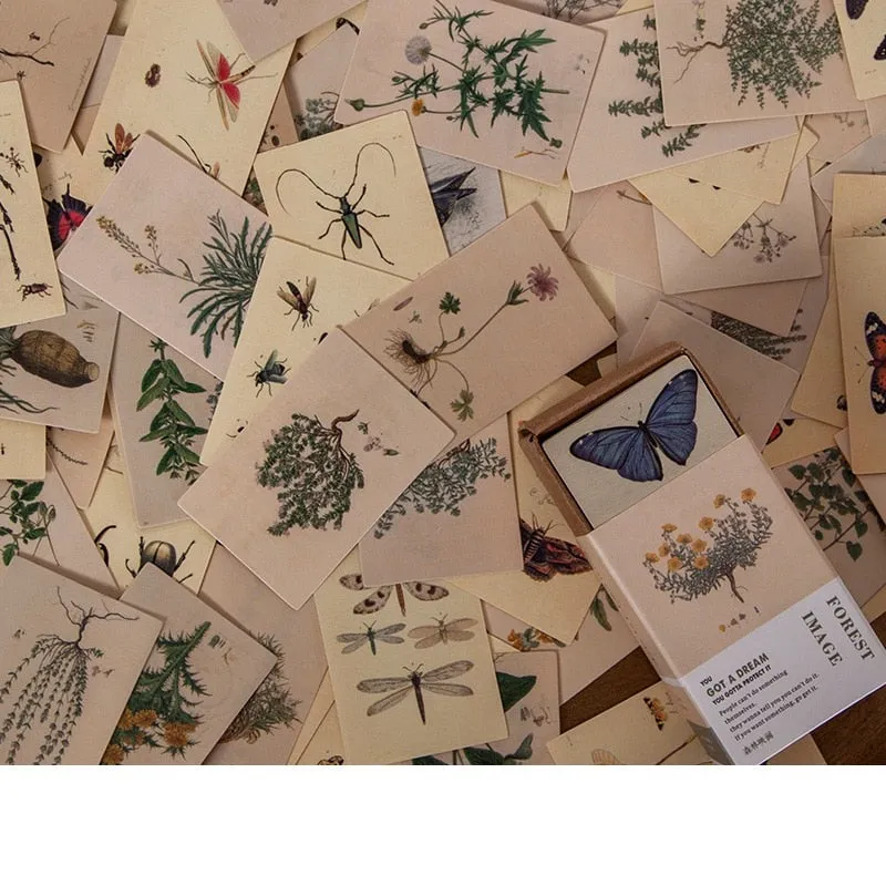 100pcs Vintage Plant Butterfly Kraft Paper Double-sided Note Cards