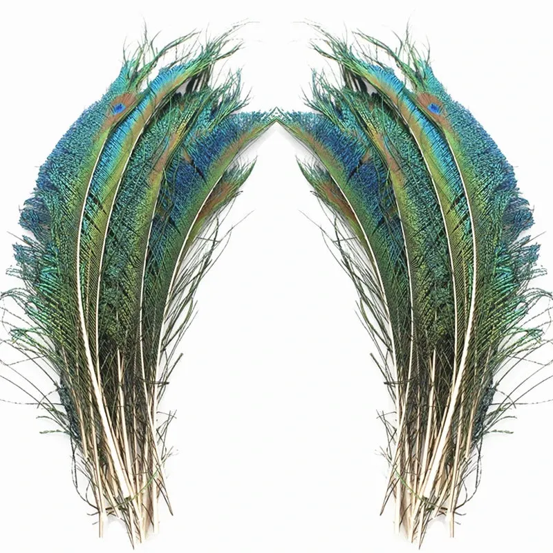 10Pcs Natural Peacock Feathers 25-30CM/10-12inch Feathers for Crafts and Decoration