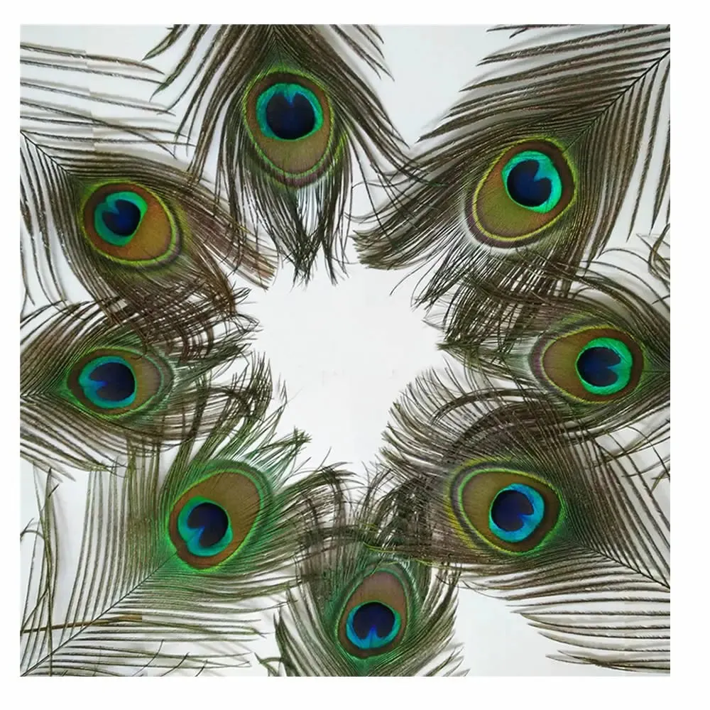 10Pcs Natural Peacock Feathers 25-30CM/10-12inch Feathers for Crafts and Decoration