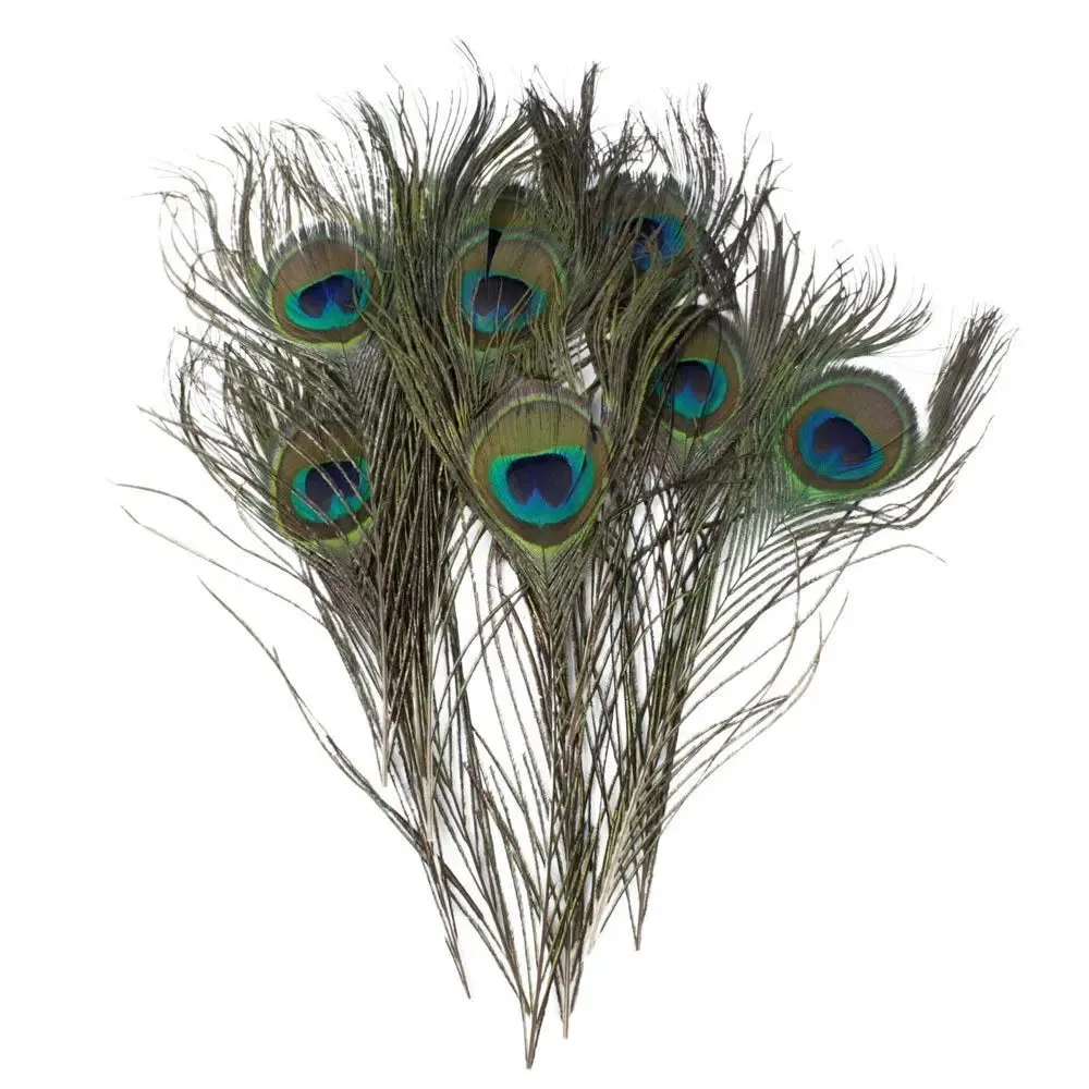 10Pcs Natural Peacock Feathers 25-30CM/10-12inch Feathers for Crafts and Decoration