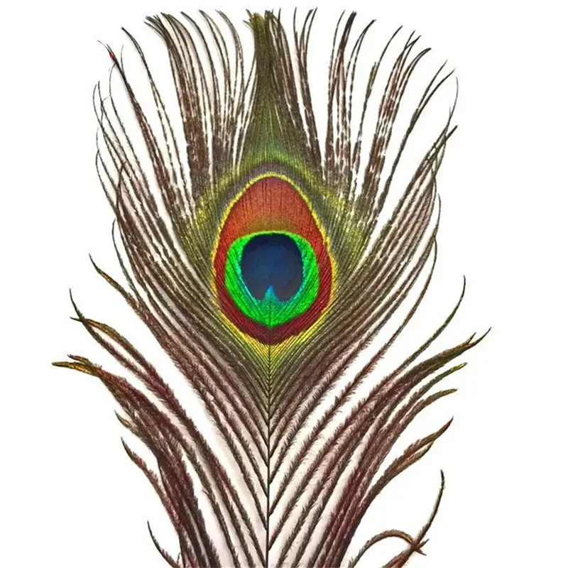 10Pcs Natural Peacock Feathers 25-30CM/10-12inch Feathers for Crafts and Decoration