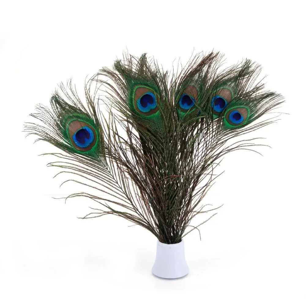10Pcs Natural Peacock Feathers 25-30CM/10-12inch Feathers for Crafts and Decoration