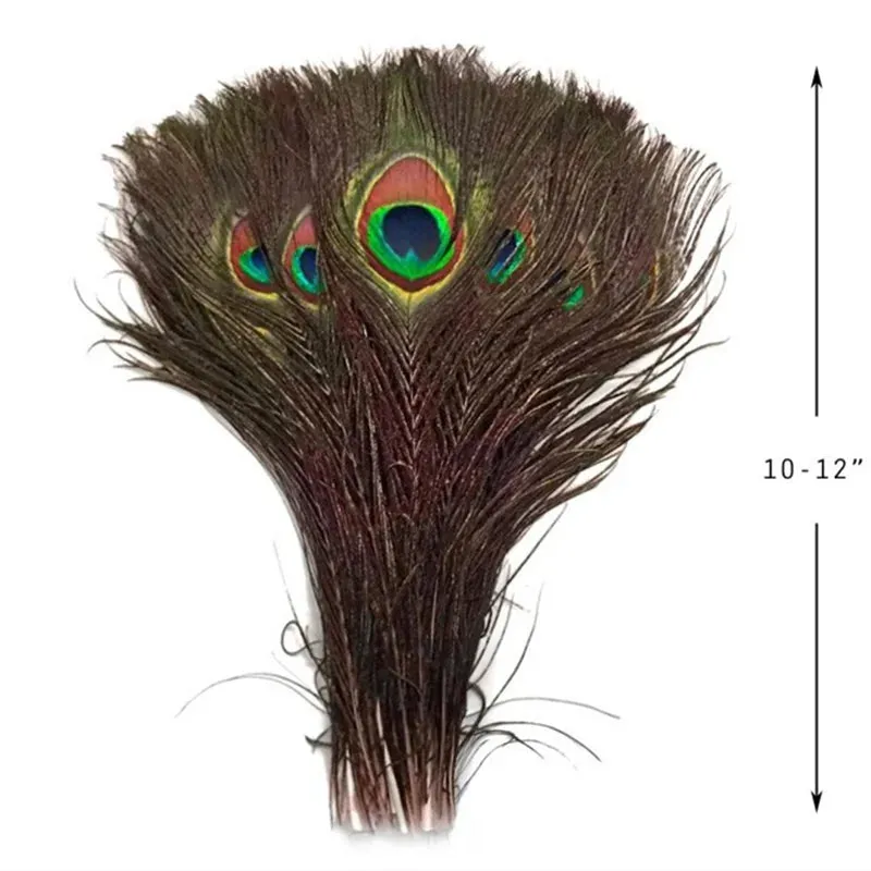 10Pcs Natural Peacock Feathers 25-30CM/10-12inch Feathers for Crafts and Decoration