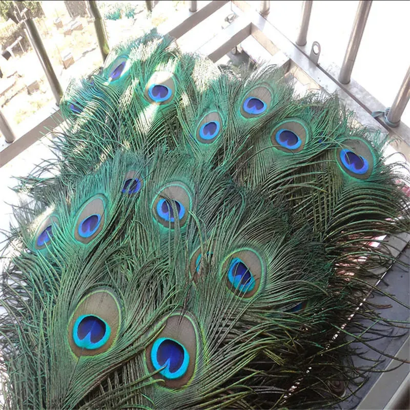 10Pcs Natural Peacock Feathers 25-30CM/10-12inch Feathers for Crafts and Decoration
