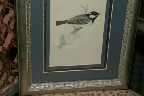 19th C. ANTIQUE AUTHENTIC ORIGINAL HAND-TINTED COLORED LITHOGRAPH over 130 YRS OLD RED-THROATED DIVER FROM LLYOD'S NATURAL HISTORY BOOK  TRIPLE MATTED FRAMED PROFESSIONALLY in hand painted mats & frame