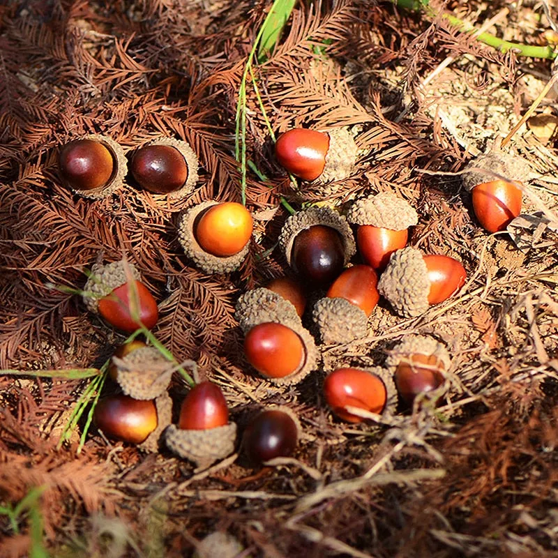 20/50pcs Acorns Mini Artificial Artificial Christmas Decor