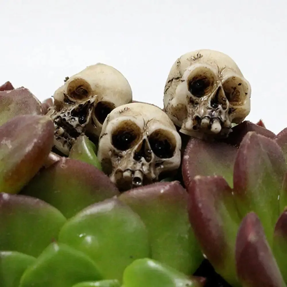 20pcs Mini Skulls Decor Skeleton Heads DIY Halloween Crafts Decoration