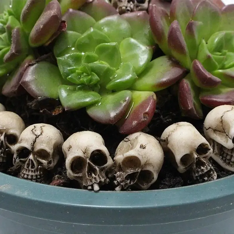 20pcs Mini Skulls Decor Skeleton Heads DIY Halloween Crafts Decoration