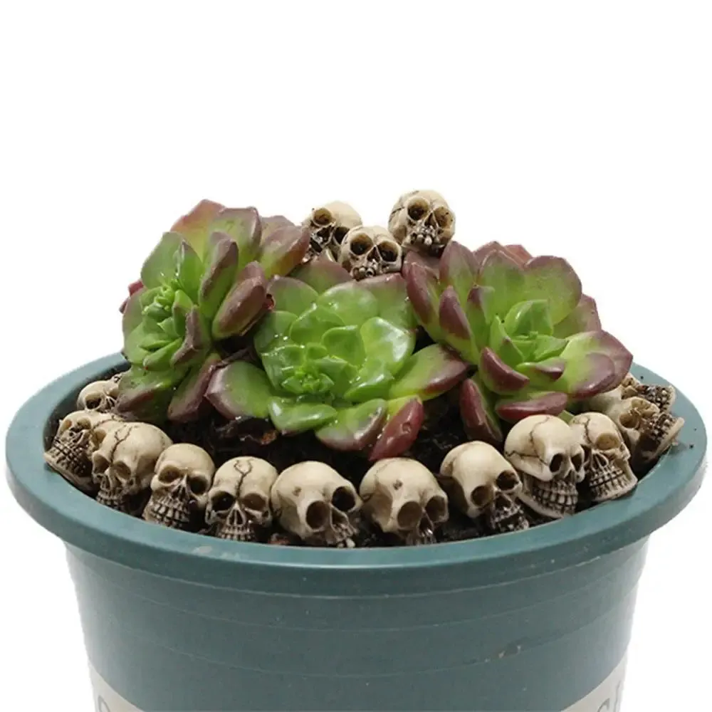 20pcs Mini Skulls Decor Skeleton Heads DIY Halloween Crafts Decoration