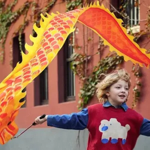 2.5m Orange Dragon Dance Ribbon With Stick and Lights