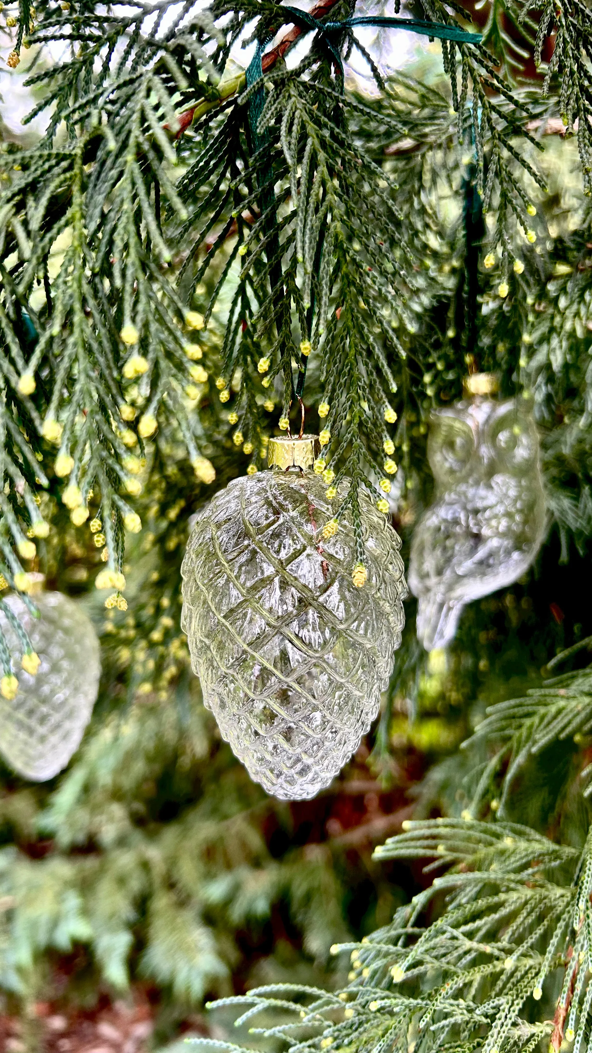 5 Pieces x DIY Paintable Home Wedding Christmas Decoration Ornament 90*60mm Glass Pine Cone Nut