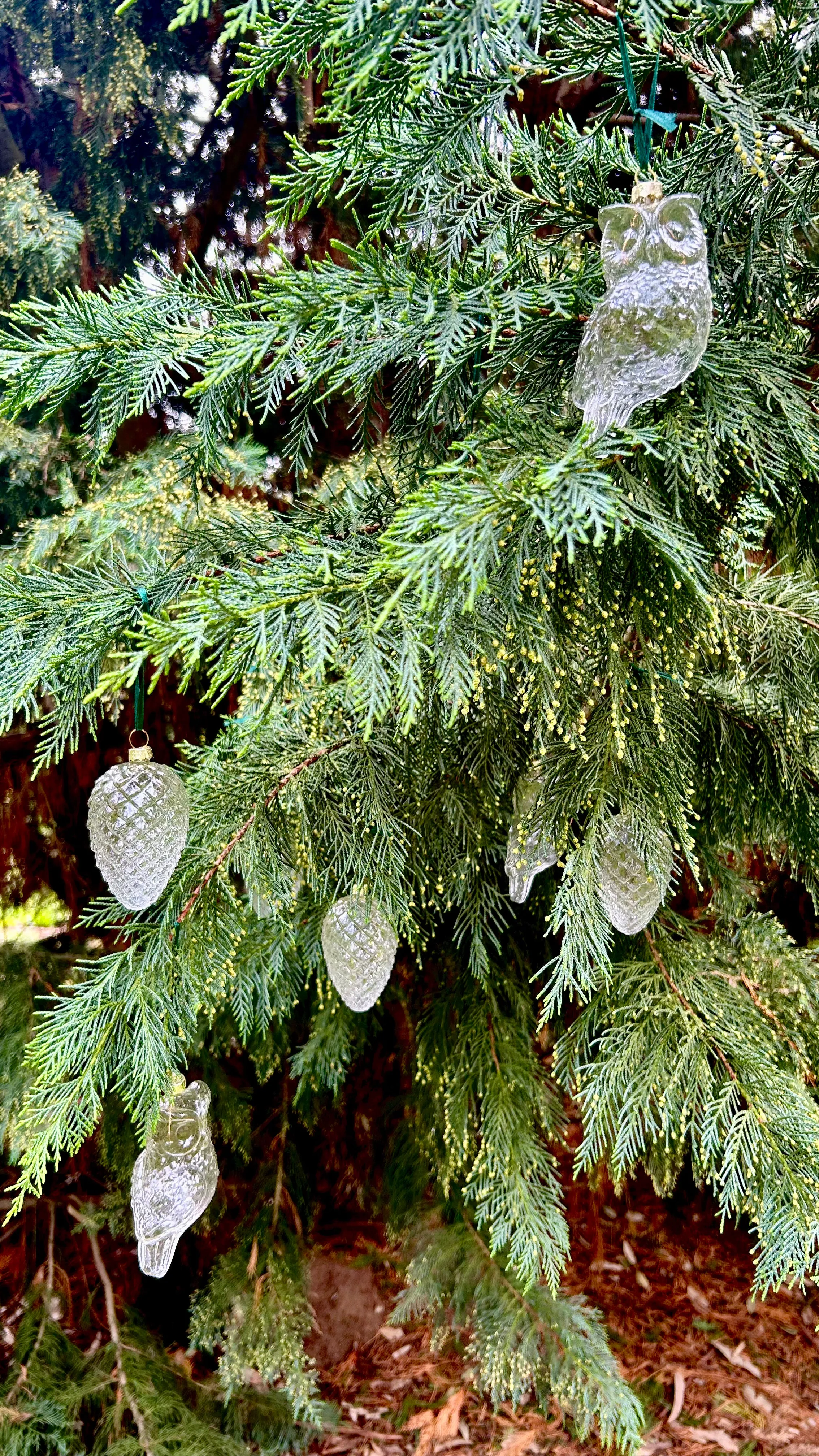 5 Pieces x DIY Paintable Home Wedding Christmas Decoration Ornament 90*60mm Glass Pine Cone Nut
