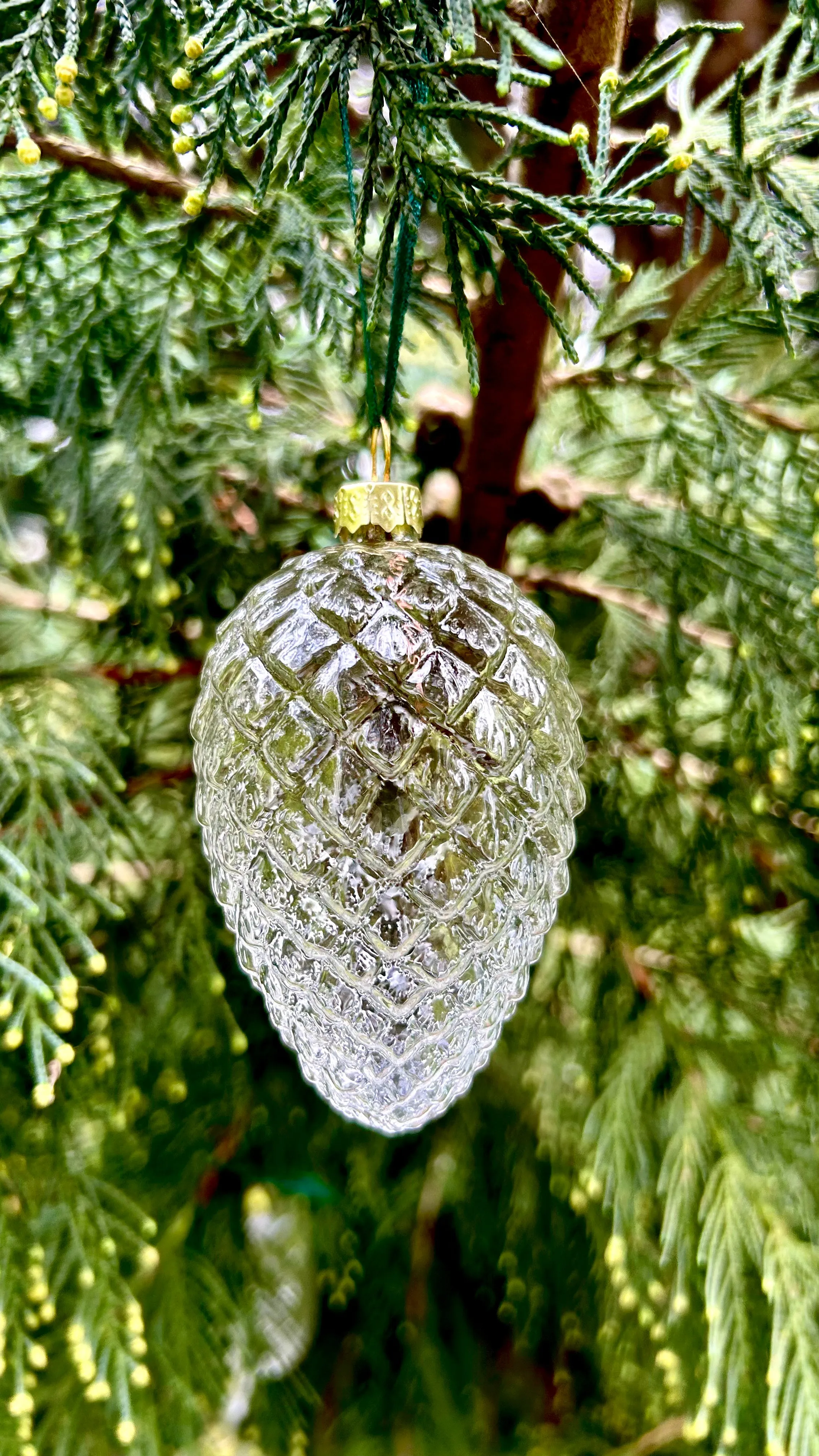 5 Pieces x DIY Paintable Home Wedding Christmas Decoration Ornament 90*60mm Glass Pine Cone Nut