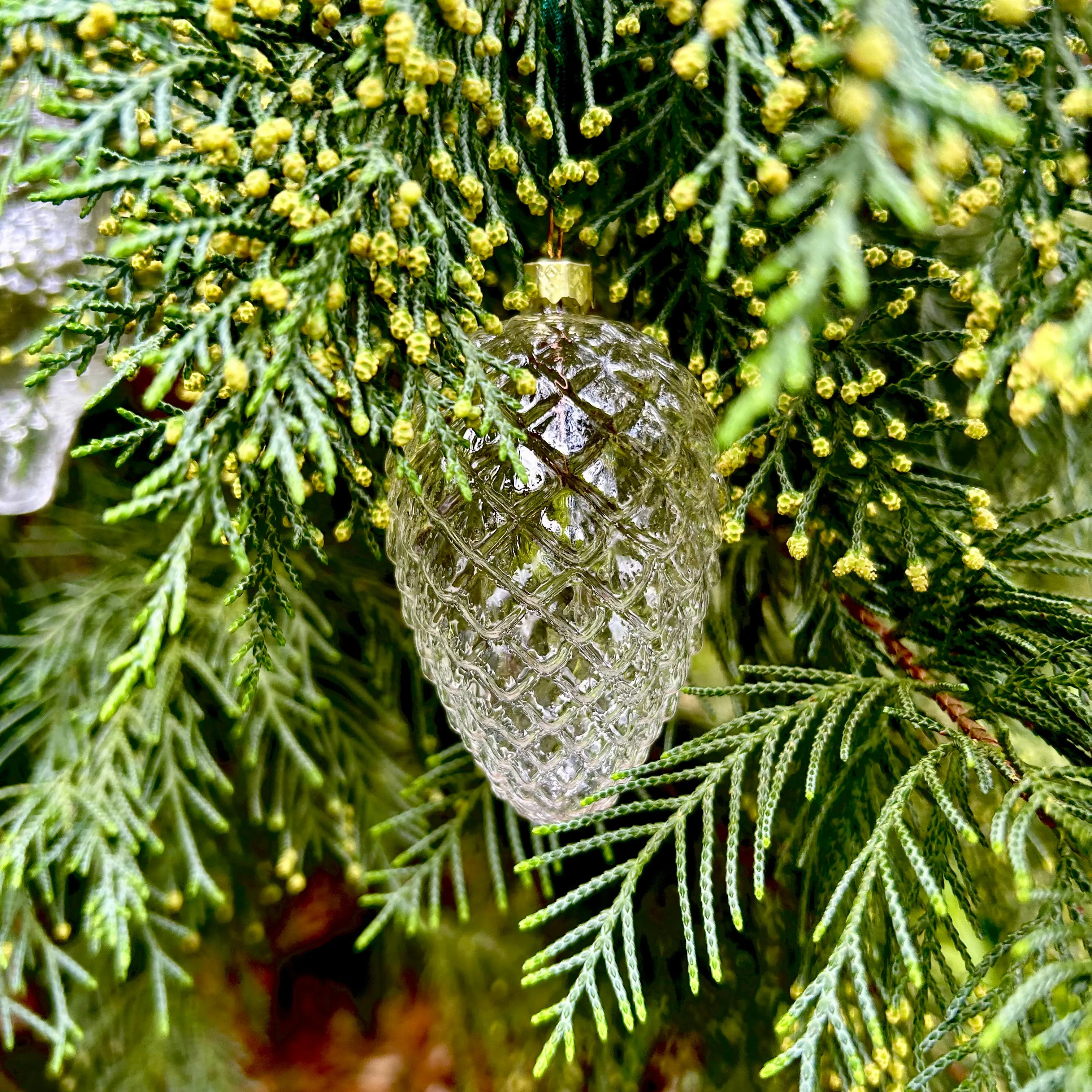 5 Pieces x DIY Paintable Home Wedding Christmas Decoration Ornament 90*60mm Glass Pine Cone Nut