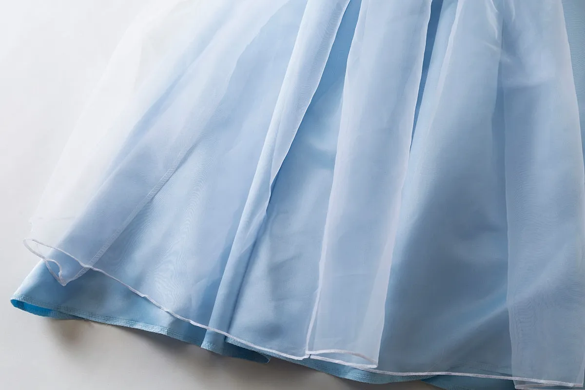 All Our Favourite Princesses Costume Dress Up Halloween Book Week