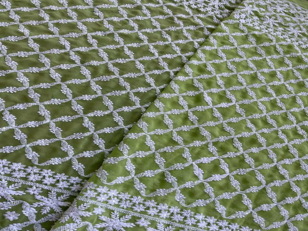 Green Lakhnawi With Silver Sequins Georgette Fabric
