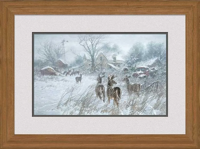 The Homesteaders—Whitetail Deer - Signed Print