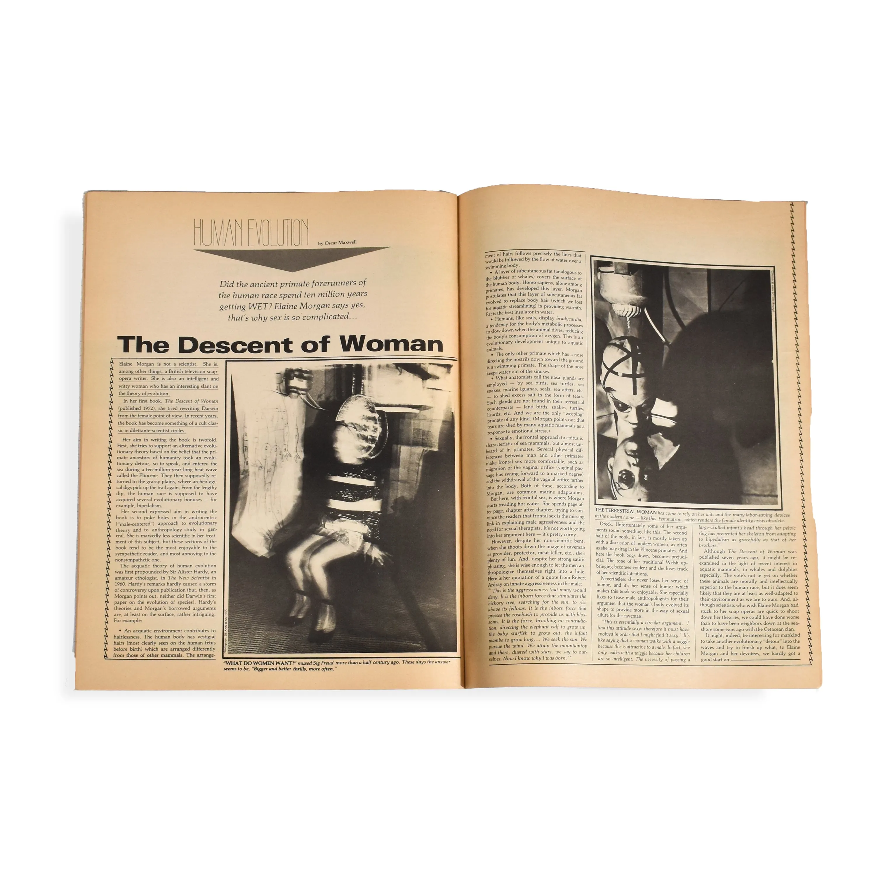 Wet Magazine: Gourmet Bathing and Beyond • Issue 17